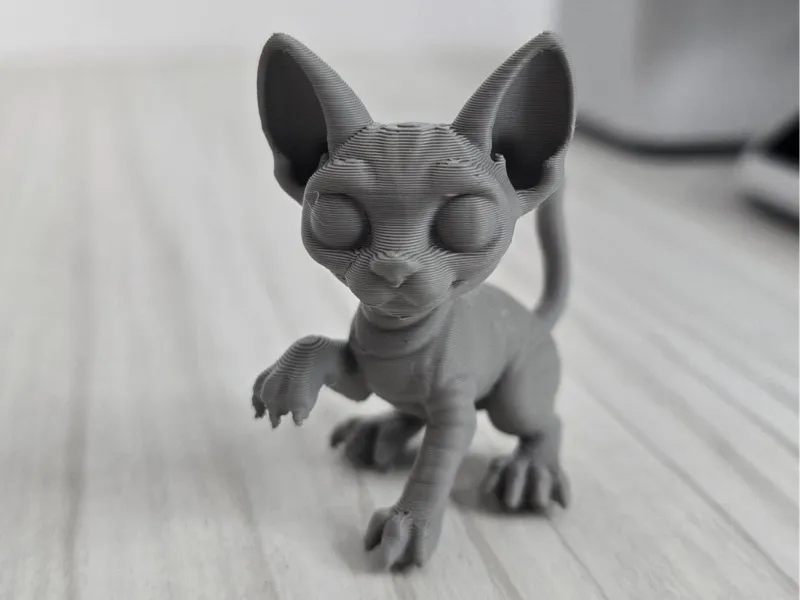 Sphynx Cat