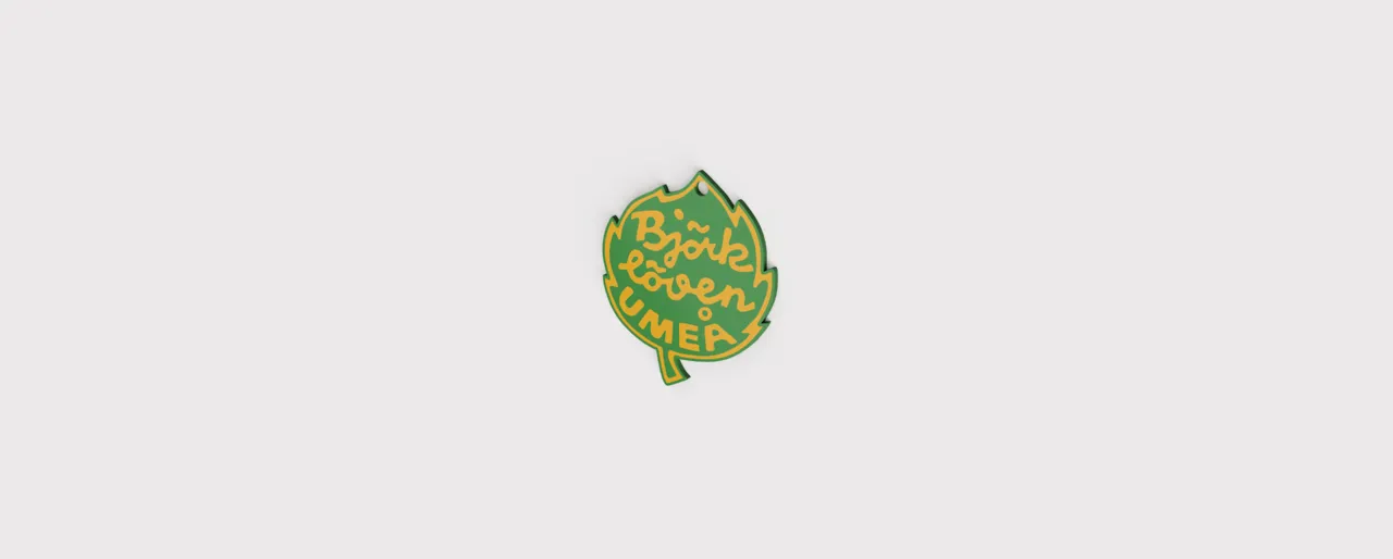 Hockey teams earrings view 2