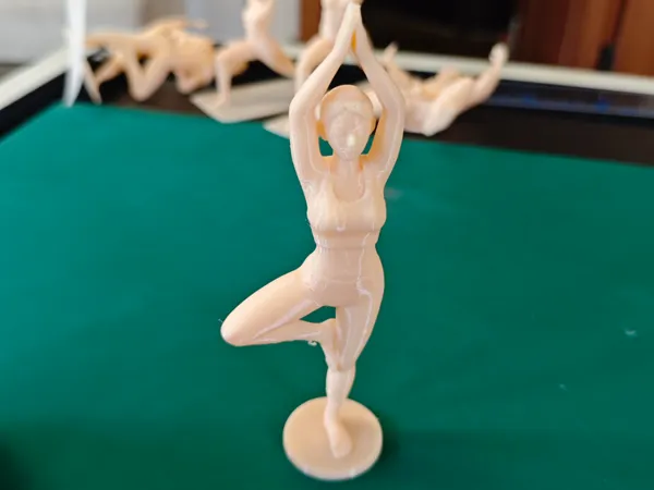 https://makerworld.bblmw.com/makerworld/model/US3bb60ffc8c65b/design/db7a2ceb07455e71.jpg
