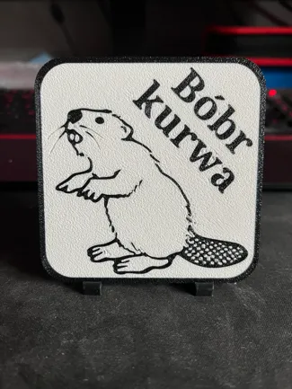 Bóbr kur*a - coaster