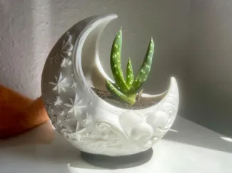 Moon Planter // Maceta Luna Chiquitita
