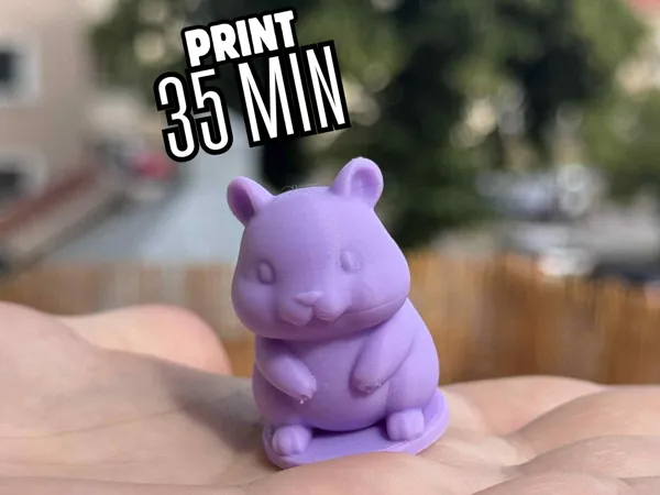https://makerworld.bblmw.com/makerworld/model/US3bbee873882461/design/2025-06-27_ecef739e775f9.png