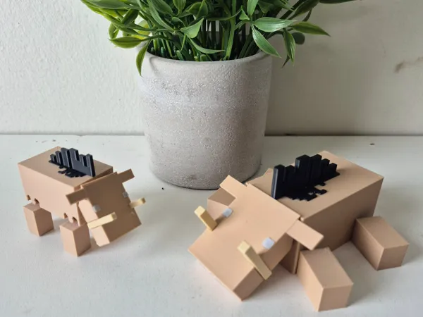 https://makerworld.bblmw.com/makerworld/model/US3bbf1b6e7c7c48/design/2025-02-12_87d0e72da9cc4.jpg