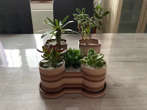 https://makerworld.bblmw.com/makerworld/model/US3bbf365915f32d/design/2025-02-13_bdd62bce059ed.jpg