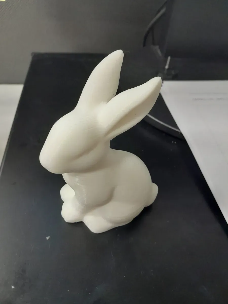 Silhouette de lapin de Pâques