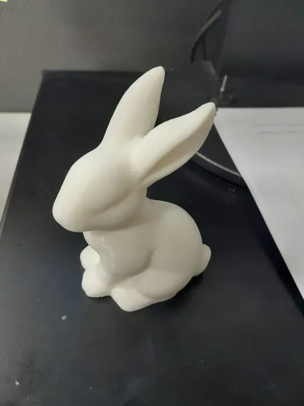 Silhouette de lapin de Pâques