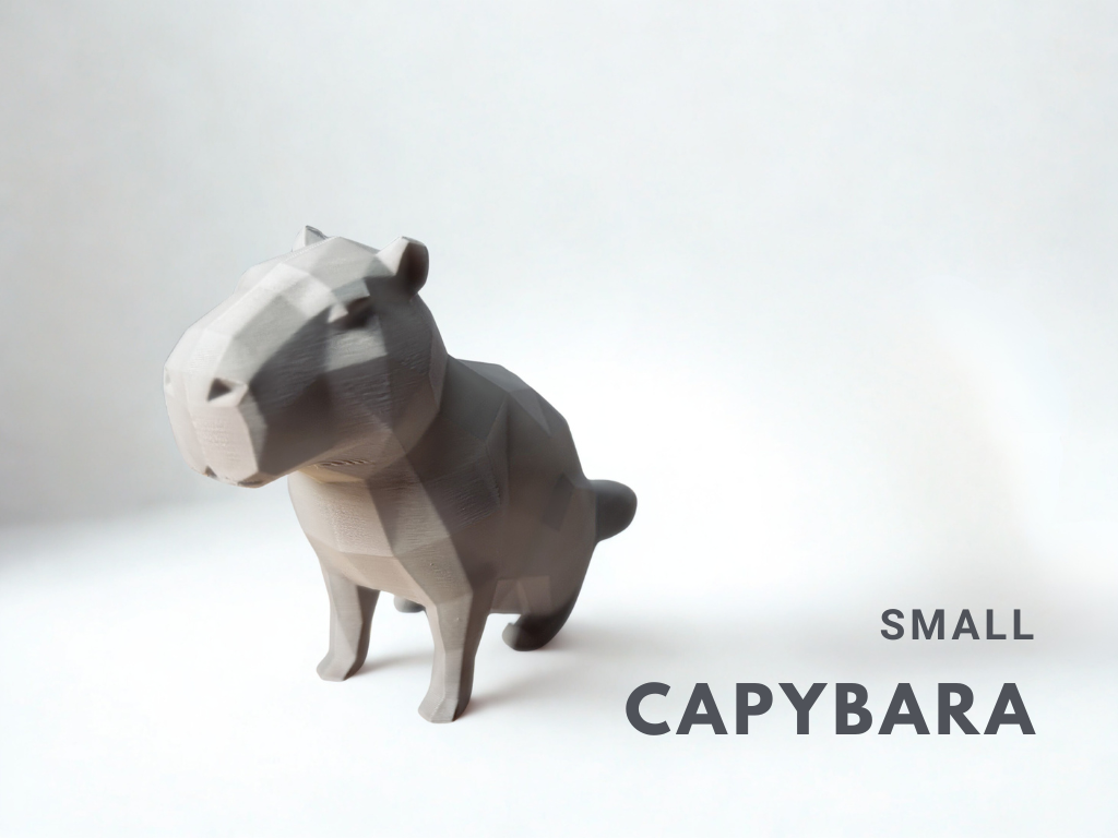 Small capybara