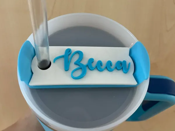 https://makerworld.bblmw.com/makerworld/model/US3bc1e2cc92e41b/design/2025-05-11_6358f0bad42a8.jpeg
