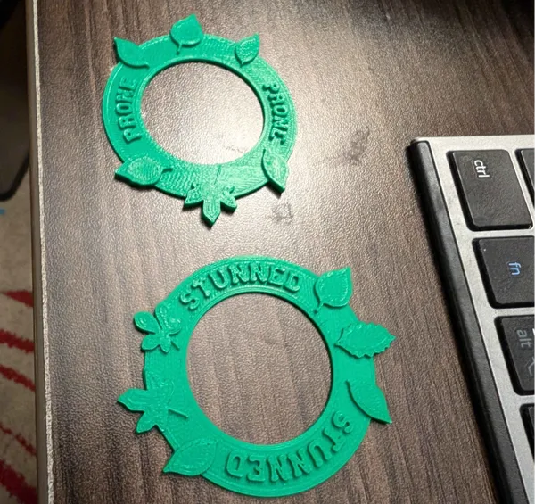 https://makerworld.bblmw.com/makerworld/model/US3bc82d5ffb223b/design/2024-10-04_da4dfc106a18a.png
