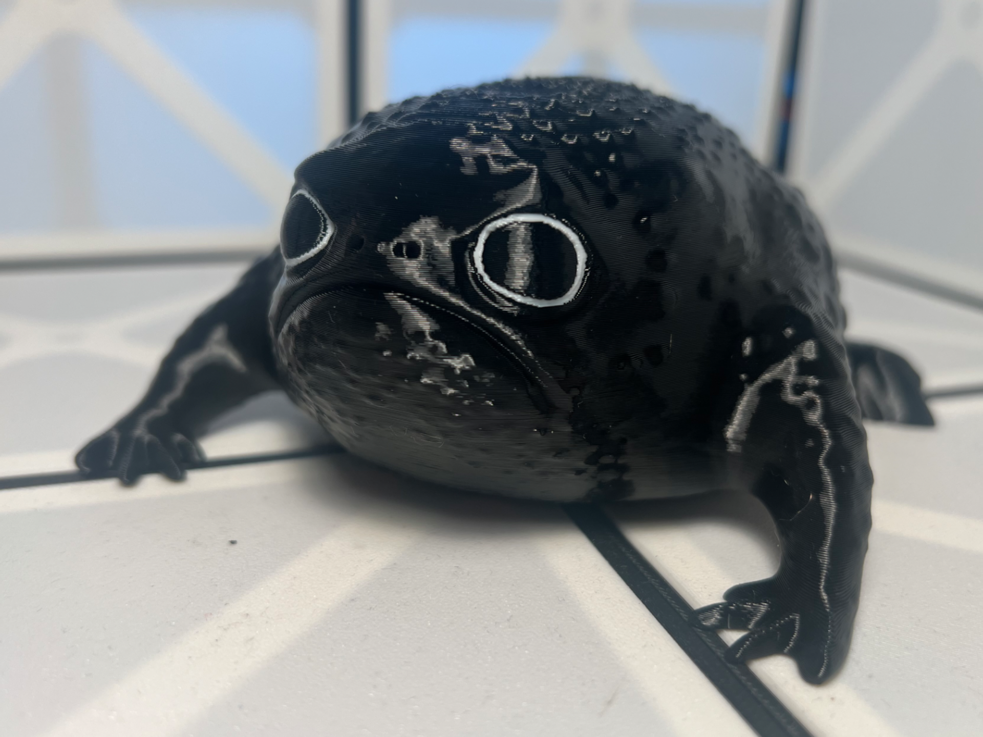 Schwarzer Regenfrosch