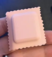 Ravioli carré — photo 2
