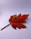 Black, Brown, Red, Orange