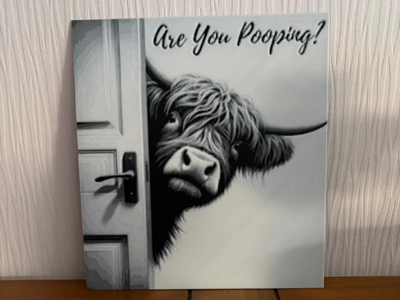 Are You Pooping? Hueforge