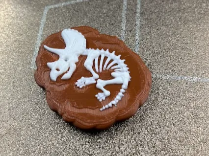 Triceratops fossil