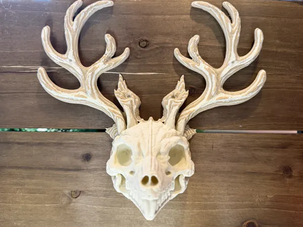 https://makerworld.bblmw.com/makerworld/model/US3bd6275bae9dff/design/2026-01-06_89c1ff19a82bd8.jpg