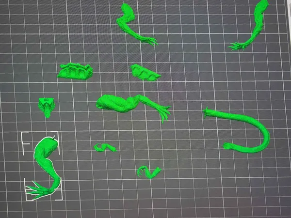 https://makerworld.bblmw.com/makerworld/model/US3bd9dc2f0553d9/design/2024-11-26_933852794eb19.jpg