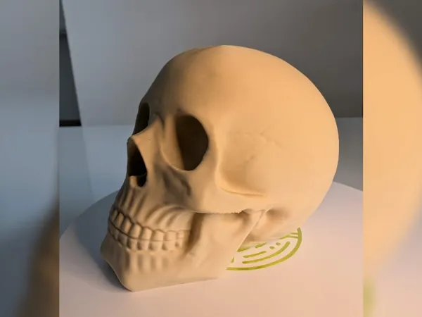 https://makerworld.bblmw.com/makerworld/model/US3bdbbc5e7d5434/design/2025-10-29_956dc9e0b53d88.jpg