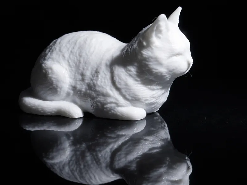 Katze