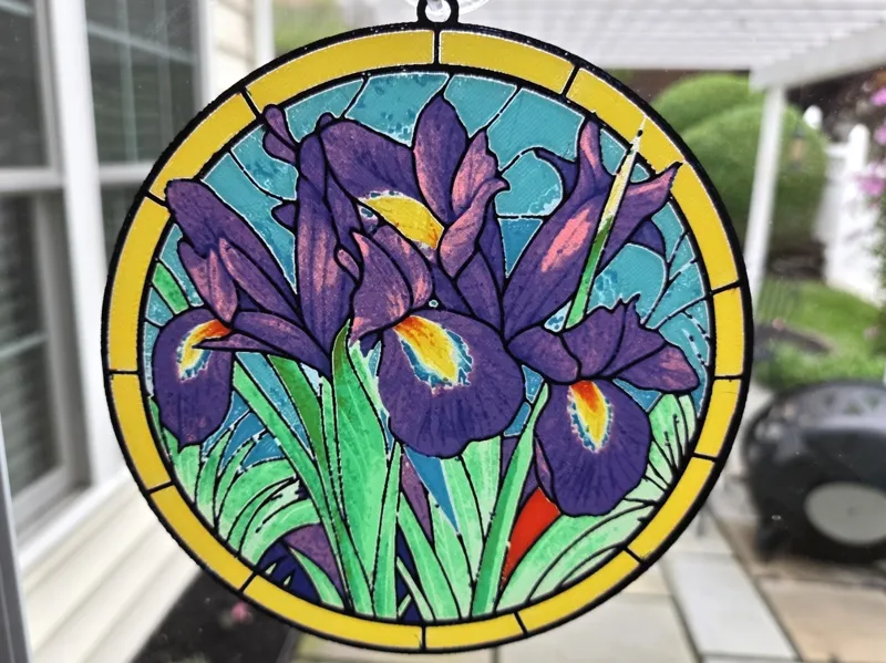 Purple Iris