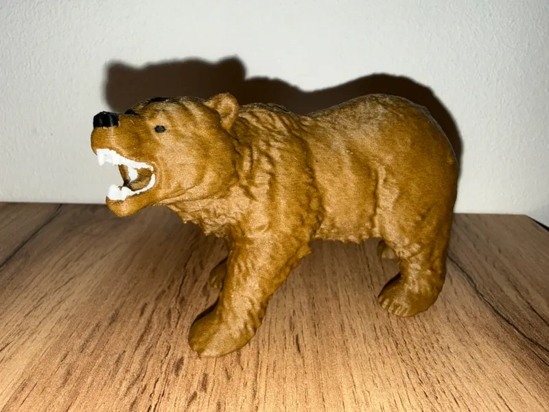 Real bear