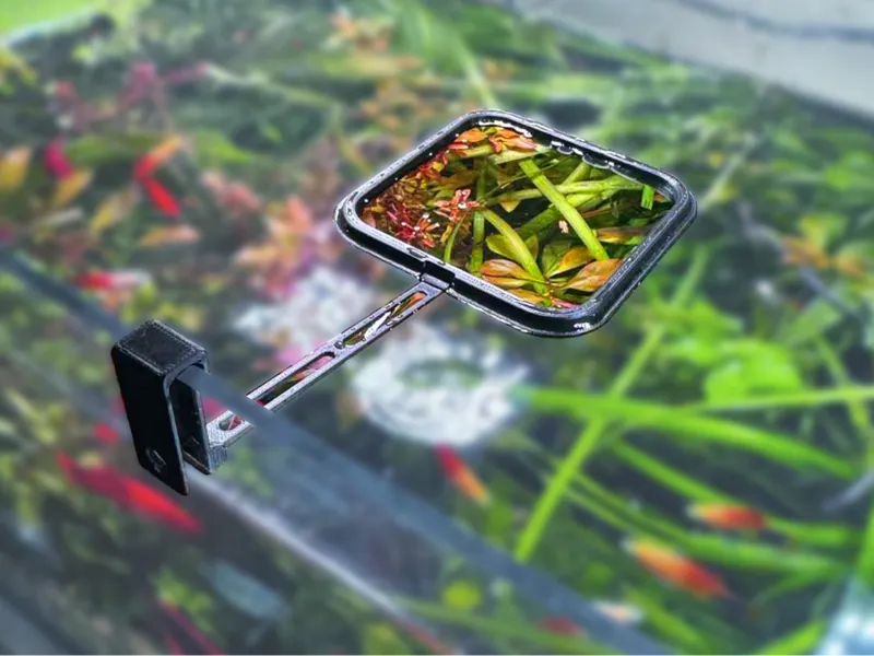 Fish Feeding Ring
