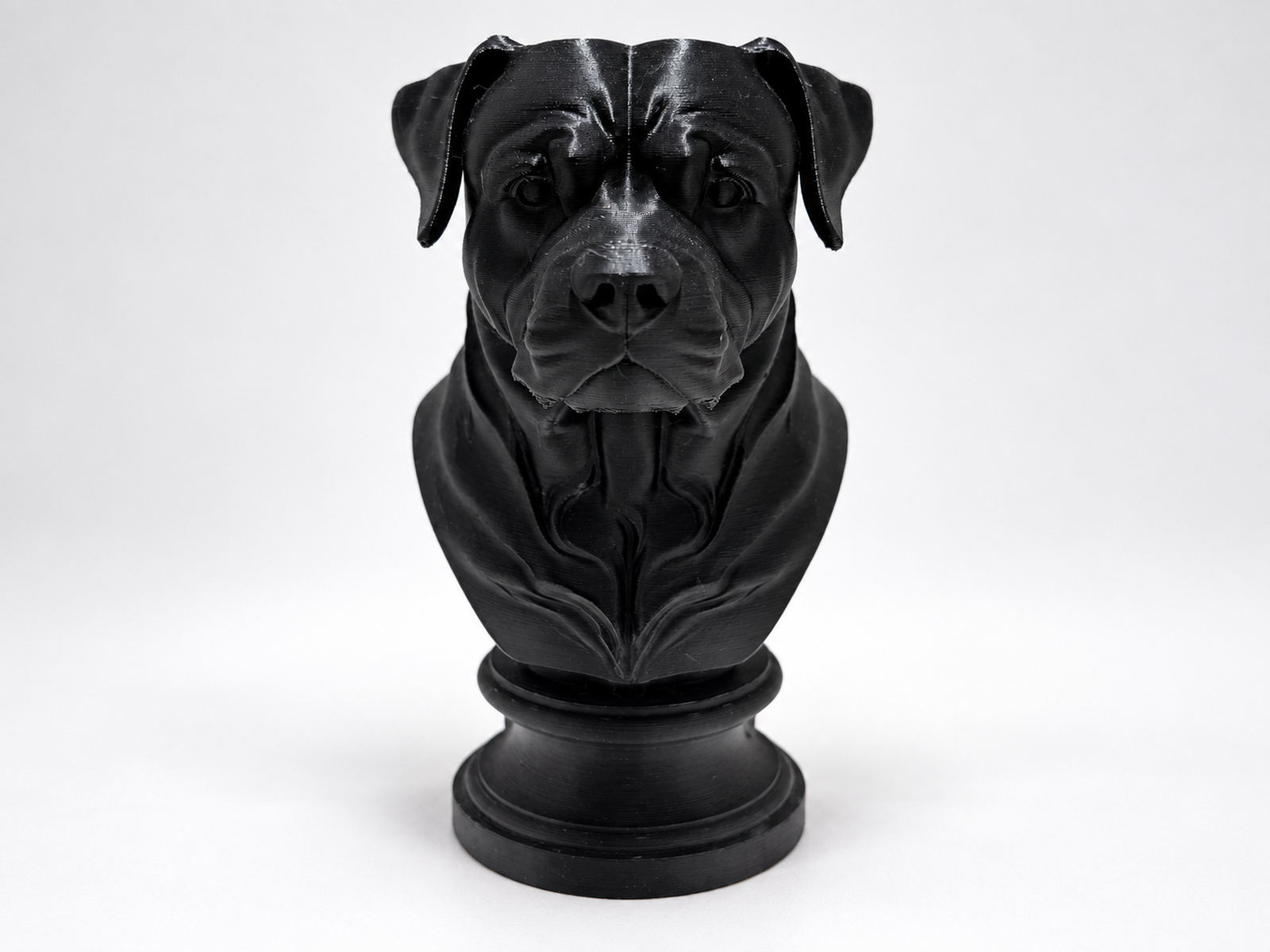 Rottweiler bust 3D model