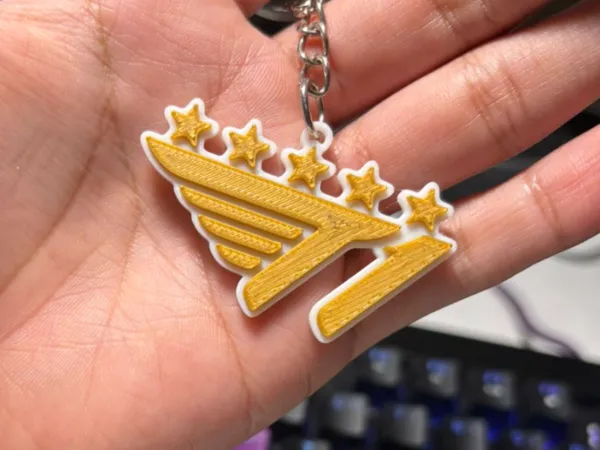 https://makerworld.bblmw.com/makerworld/model/US3bf2a1275580b/design/2024-11-11_defb2557e8d3.jpg