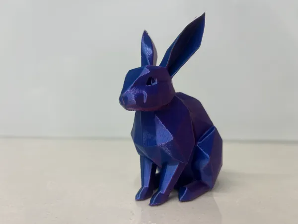 https://makerworld.bblmw.com/makerworld/model/US3bf35ed66c8145/design/2025-01-09_391e16d3cec2f.jpeg