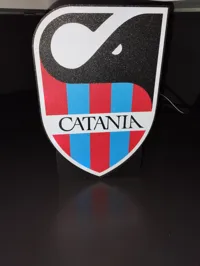 0.2mm layer, 2 walls, 20% infill
