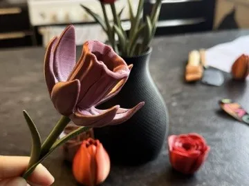 https://makerworld.bblmw.com/makerworld/model/US3bf6b5f169c1e7/design/6850ae8281581397.jpg
