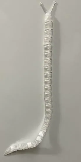 Magnetic Really Long articulated Slug 