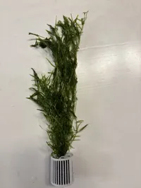 Panier de plantation pour aquarium — photo 3