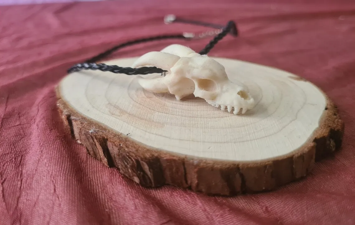 Dragon skull necklace keychain earring view 4