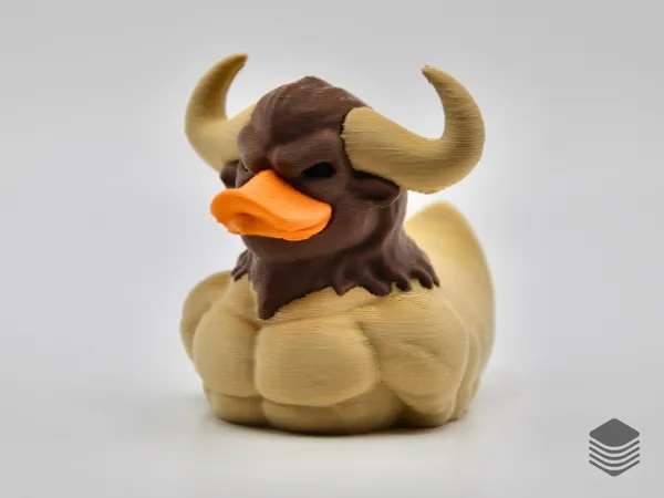 https://makerworld.bblmw.com/makerworld/model/US3c0c0bdaf94928/design/2025-01-17_1567e1613789c.png