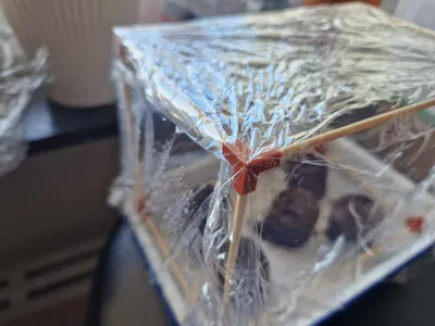 DIY Seed Starter