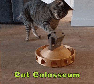 Cat colosseum slow feeder-fun activity