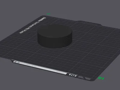 Full Sized Hockey Puck
