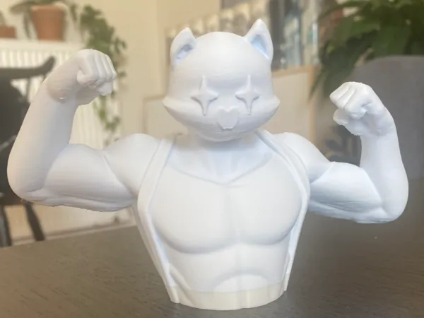 https://makerworld.bblmw.com/makerworld/model/US3c18afd14631e7/design/2025-08-09_998158a8d990a8.jpeg