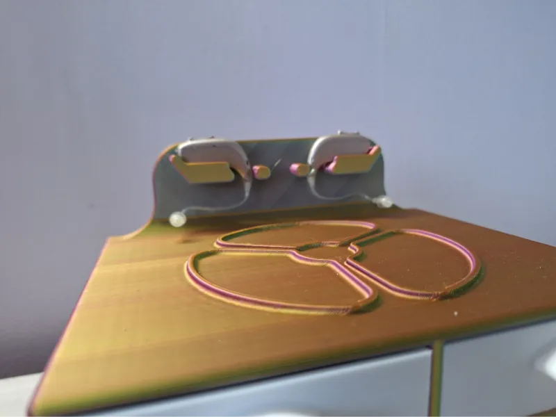 Hearing Aid Organiser