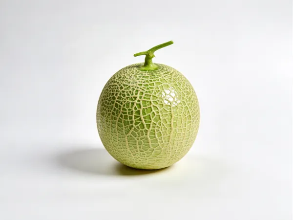 https://makerworld.bblmw.com/makerworld/model/US3c238f8b38fbba/design/ed5a83c0e938a8e0.png