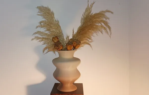 Vase aux courbes fluides