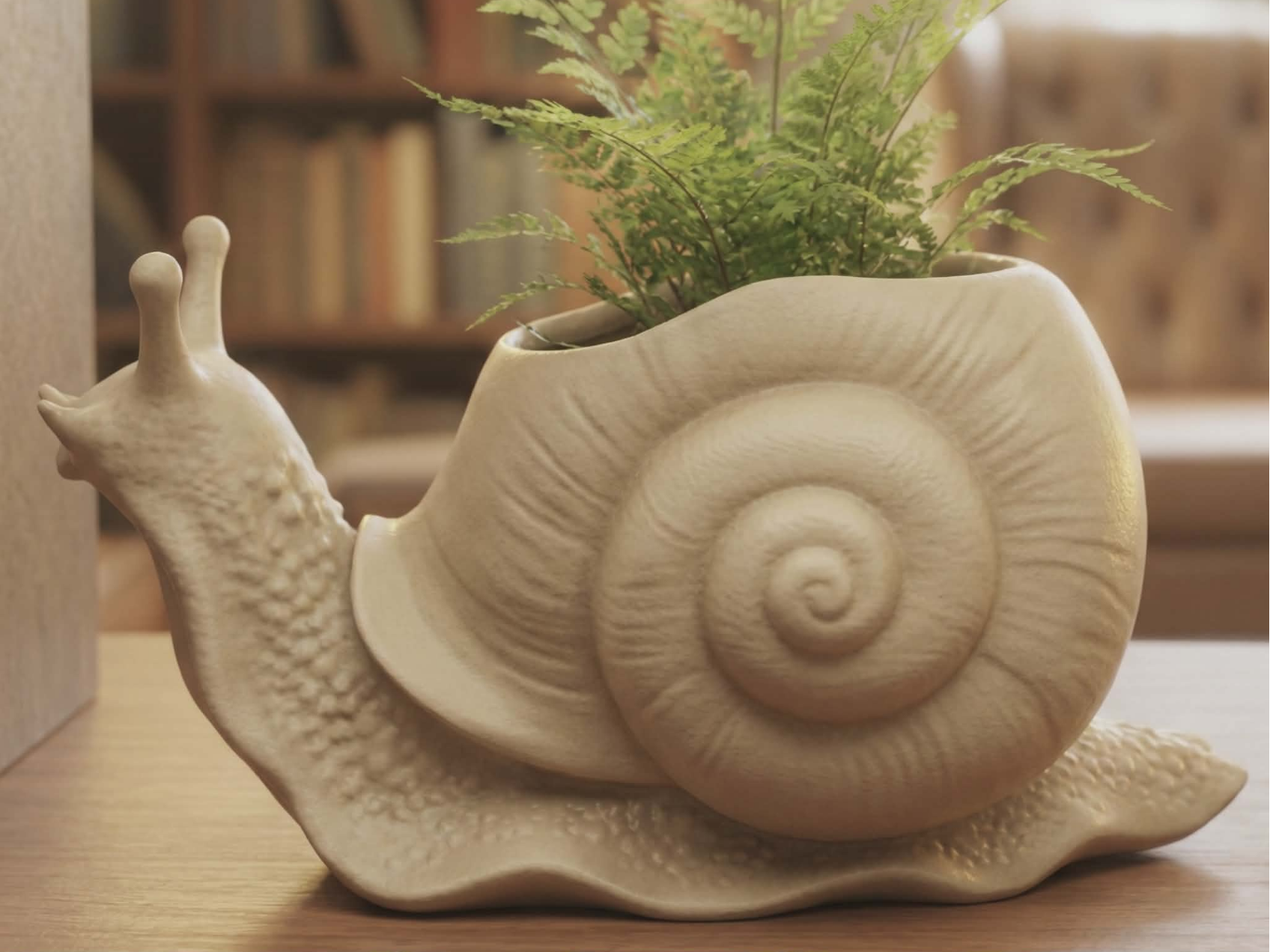 SnailPlanter