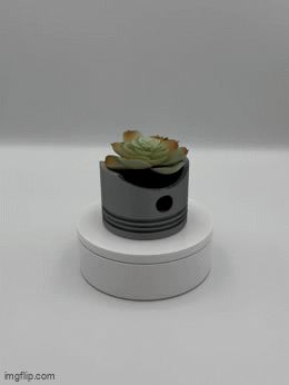 Piston Planter | Self-Draining Succulent Pot