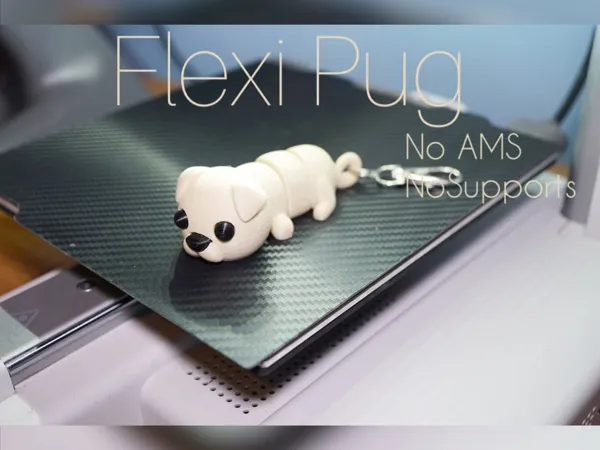 https://makerworld.bblmw.com/makerworld/model/US3c29c93c153cfd/design/2025-02-05_75ba14bbfa41d.jpeg