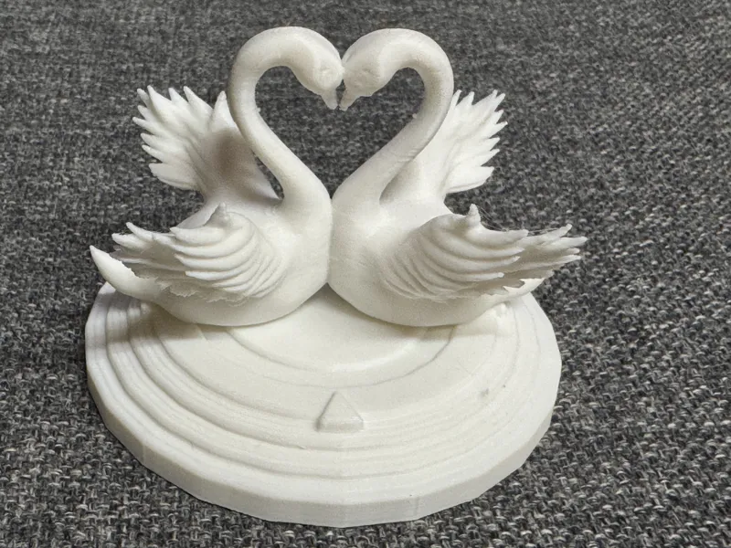 Couple of Beautiful Swans