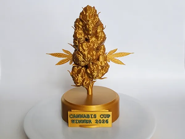 https://makerworld.bblmw.com/makerworld/model/US3c35df7c3b119f/design/efc1da7f97000fe8.jpg
