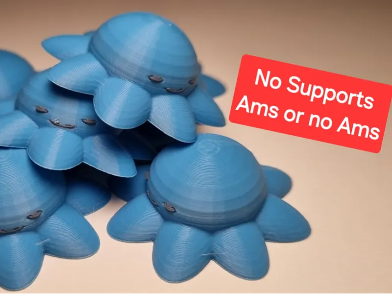 Cute tiny Smug Octopus