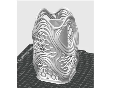 organic vase