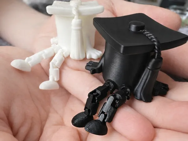 https://makerworld.bblmw.com/makerworld/model/US3c3cc51be1f8bd/design/971b2b5ceaa93b24.png