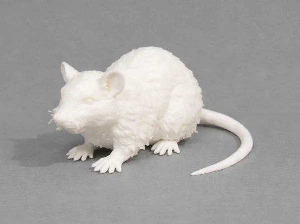 https://makerworld.bblmw.com/makerworld/model/US3c453b48f8513d/design/91a076b1865810c4.png